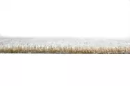 11750-B-5.jpg